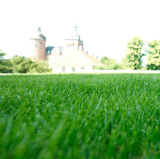 Fr� til have og park