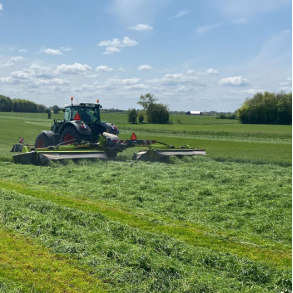 græsfrø til landbrug