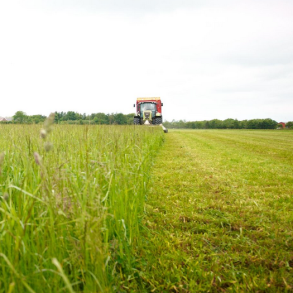 BiogasMax - 10 kg | DLF