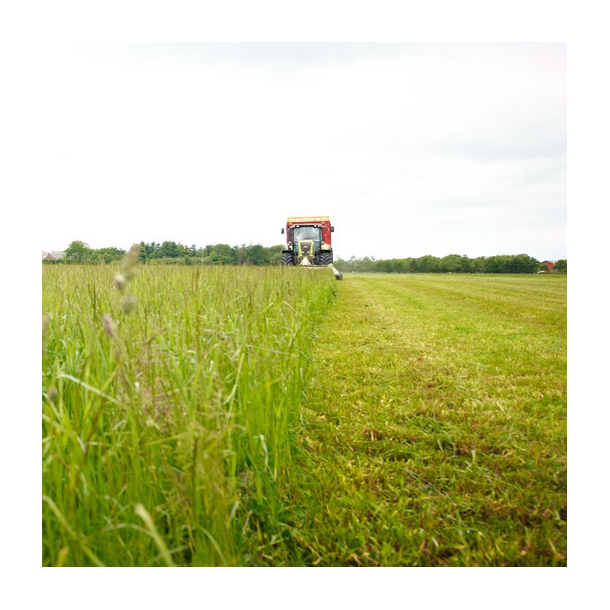 BiogasMax - 10 kg | DLF