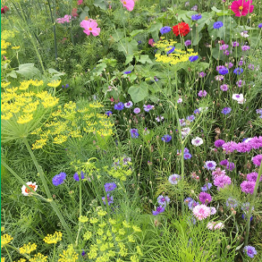 Buketmix - 1 kg | DLF