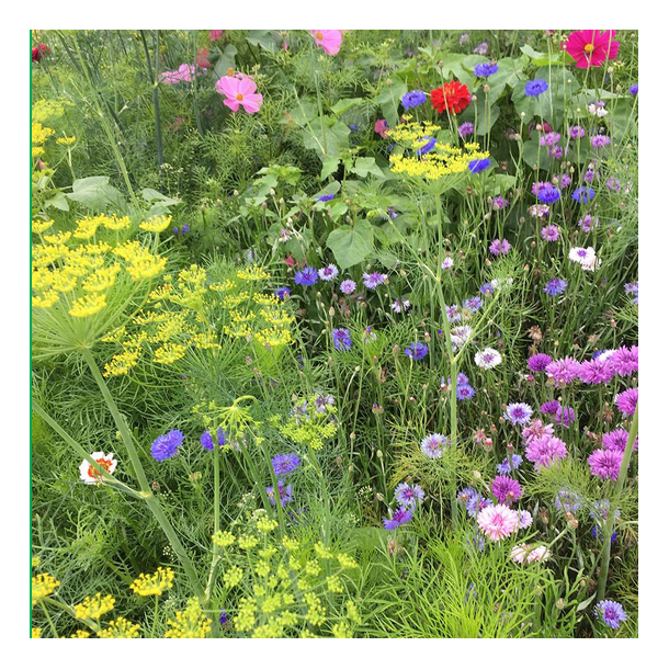 Buketmix - 1 kg | DLF