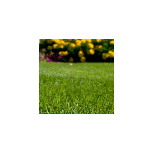 Pl�negr�s - Ornamental - 10 kg | DLF