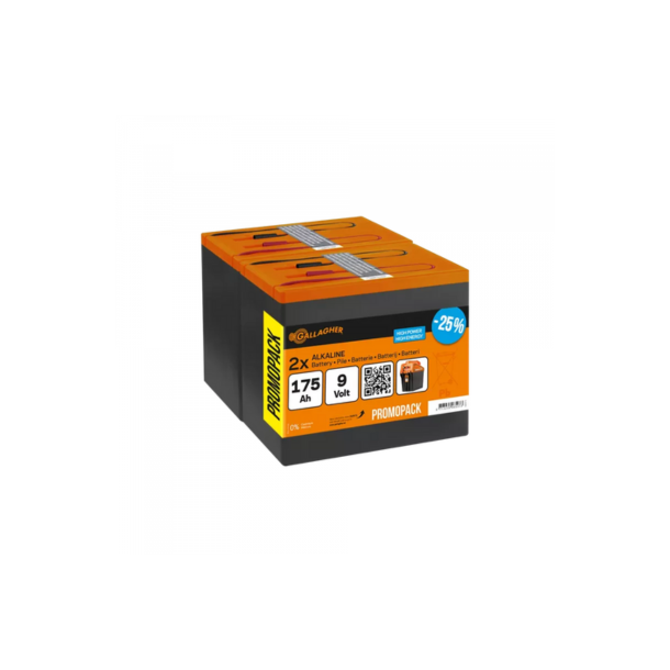 Duopack Alkaline Batteri 2x9V/175Ah