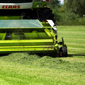 �KO ForageMax 36 - 10 kg | DLF