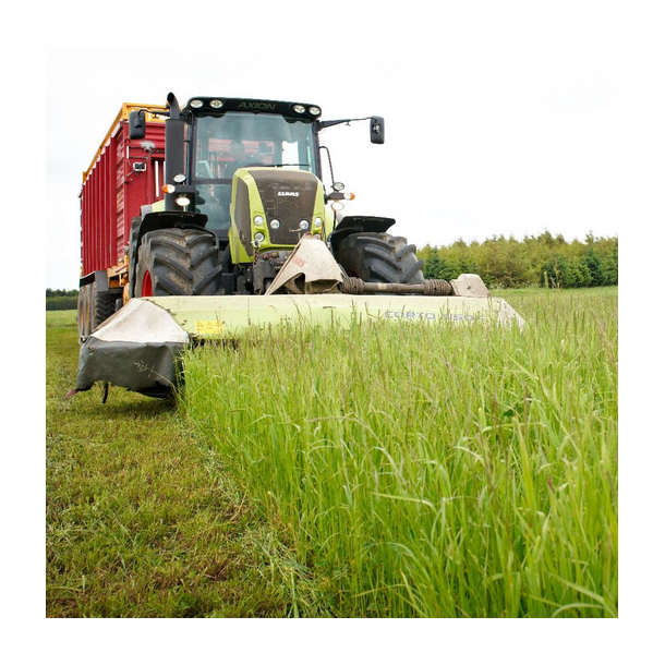 ForageMax 37 - 10 kg | DLF