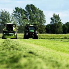 ForageMax 40 Robust R�d  - 10 kg | DLF