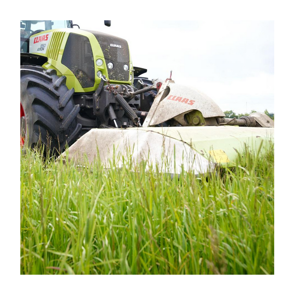 ForageMax 43 - 10 kg | DLF