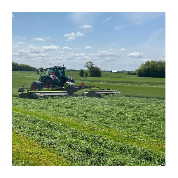 ForageMax 49 - 10 kg | DLF