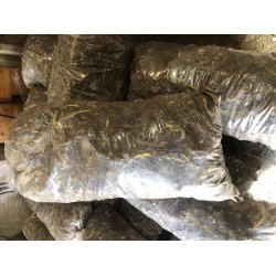 Elefantgr�s-rhizomer - s�k � ca. 500 stk.