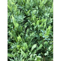 R�DYR - 2 kg | Vildtremisen.dk