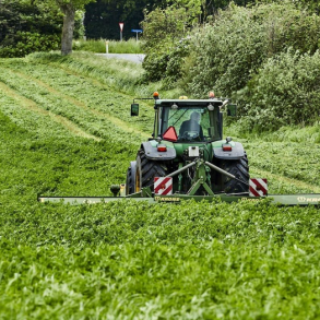 Lucerne - MEZZO - 10 kg