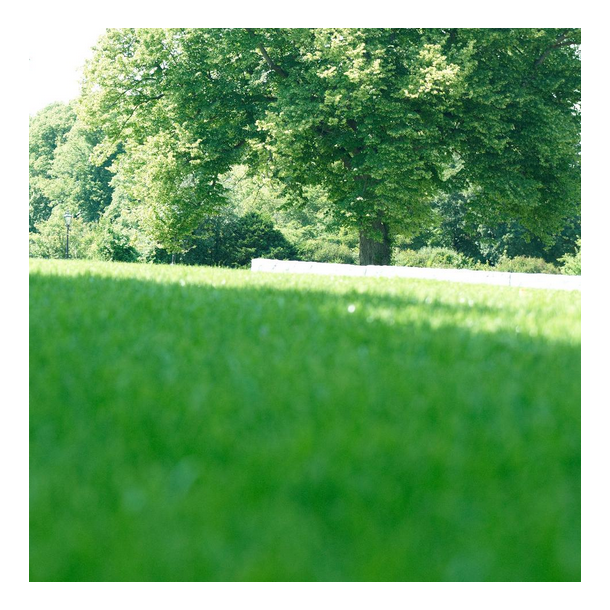 Skygge - MasterLine - 15 kg | DLF