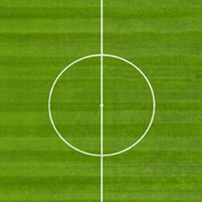 Sport - MasterLine - 15 kg | DLF