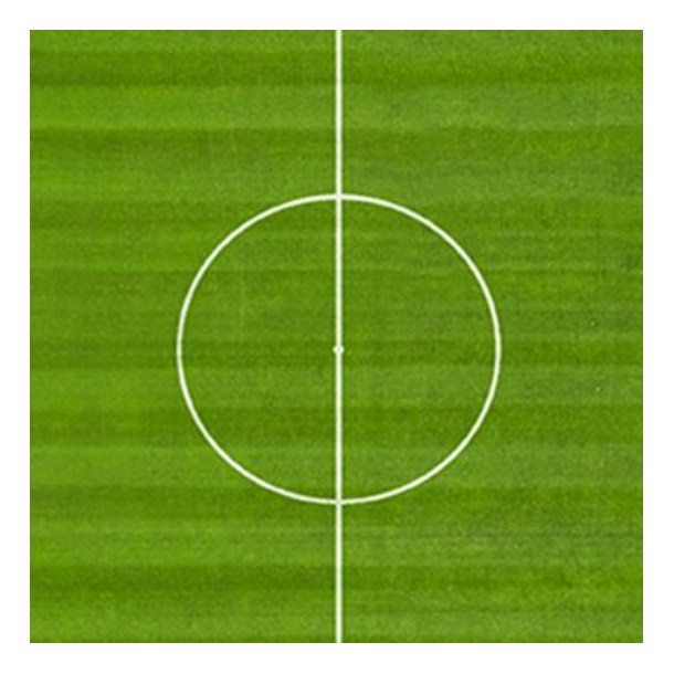 Sport - MasterLine - 15 kg | DLF