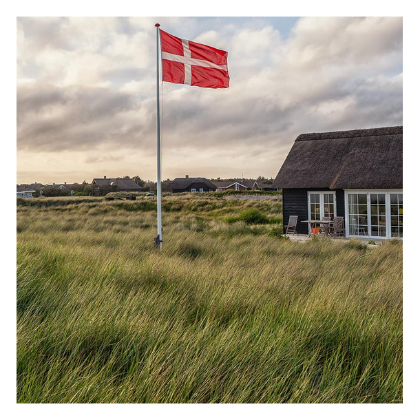 Naturgr�s - Standard - 15 kg | DLF