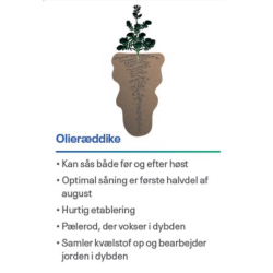 Olier�ddike - 10 kg