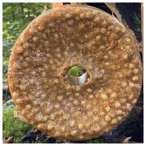 Sliksten med rter - 3 kg