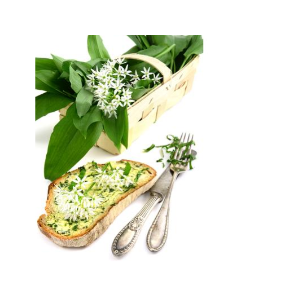 Ny Nordisk - Spiselige blomster - 1 kg | DLF