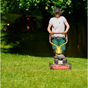 Promix - Standard - 15 kg | DLF