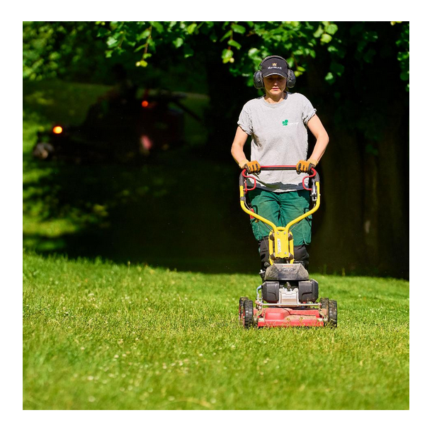 Promix - Standard - 15 kg | DLF