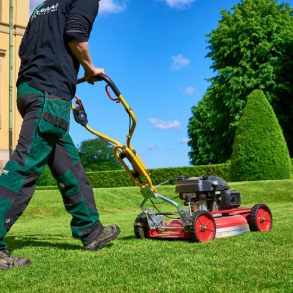 Renovering - Standard - 15 kg | DLF