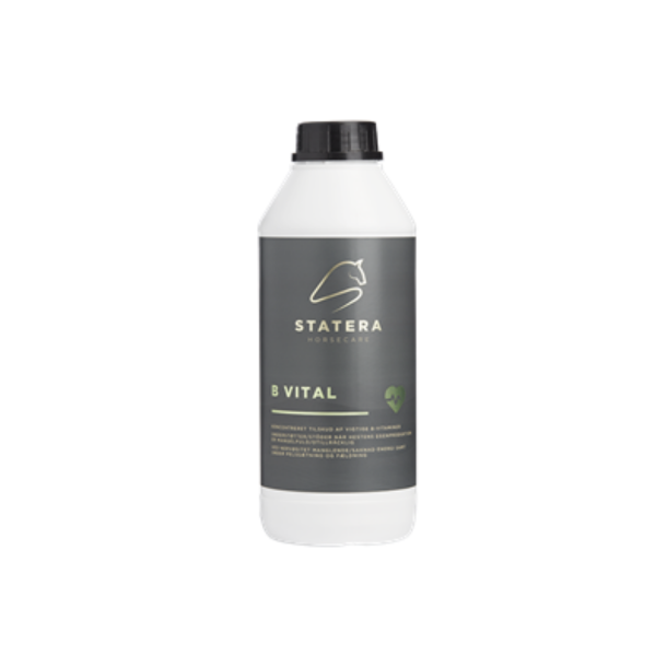 Statera Horsecare B Vital &#150; 1 L