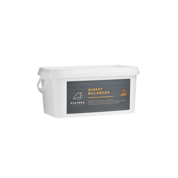 Statera Horsecare Digest Balancer