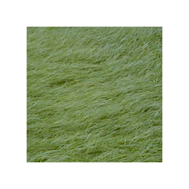 Alm. rajgr�s - 10 kg