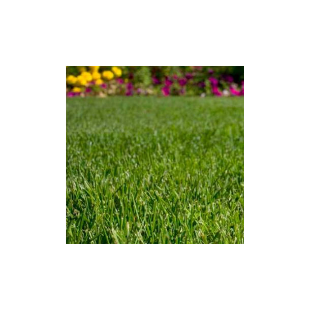 Pl�negr�s - Universal - 10 kg | DLF