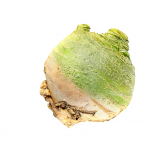 Klroe - 'Wilhelmsburger'