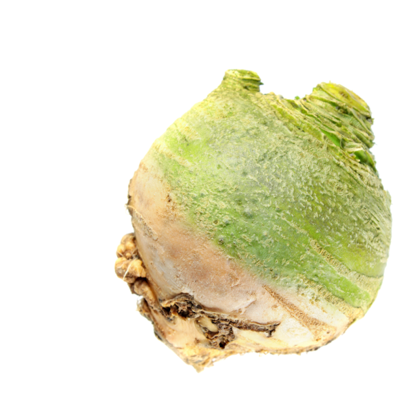 K�lroe - 'Wilhelmsburger' - 1 kg