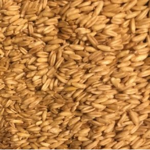 KO Ngen havre - 2 kg